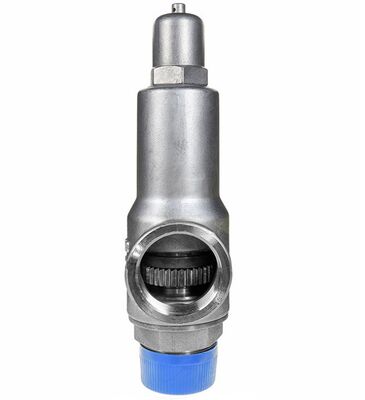 DN50 Safety Valve for Liquid Nitrogen Competitive Price for Pressure Regulation