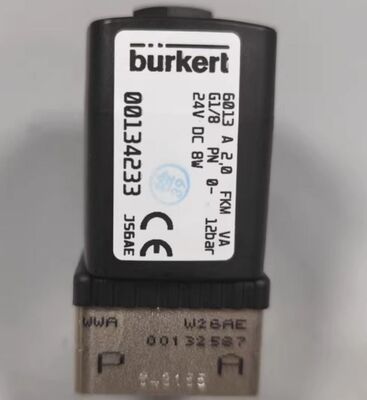 Burkert Original Genuine Product 6013series 00137537/00134233/00136018/00137533 Two-way Plunger Valve